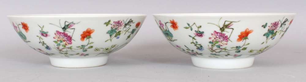 A PAIR OF CHINESE FAMILLE ROSE PORCELAIN BOWLS, each decorated with insects and floral sprays, - Image 2 of 8