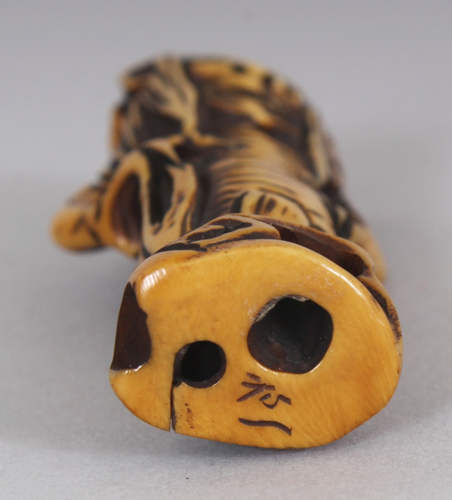 A SIGNED JAPANESE MEIJI PERIOD STAINED IVORY NETSUKE OF AN ONI MERMAN, the base with an engraved - Image 5 of 6