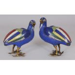 A GOOD PAIR OF 19TH CENTURY CHINESE QIANLONG/JIAQING PERIOD BLUE GROUND CLOISONNE QUAIL CENSERS,