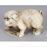 A GOOD QUALITY SIGNED JAPANESE MEIJI PERIOD IVORY NETSUKE OF A PUPPY PLAYING WITH A REEDED MAT,