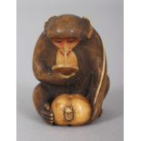 AN UNUSUAL SIGNED JAPANESE MEIJI PERIOD STAINED IVORY NETSUKE OF A MONKEY, examining with a
