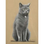 David Shepherd (20th Century) British. Study of a Black Cat, Pastel, Signed in Pencil 'David