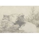Thomas Sidney Cooper (1803-1902) British. A Sketch of Cattle in a River Landscape, Pencil, 6.5" x