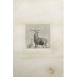 After Edwin Henry Landseer (1802-1873) British. "The Monarch of the Glen", Engraving, 'Library