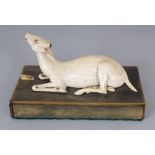 A GOOD QUALITY 19TH CENTURY IVORY MODEL OF A RECUMBENT DEER, possibly Persian, mounted on a horn