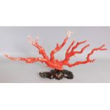 A LARGE FINE QUALITY 19TH CENTURY CHINESE RED CORAL CARVING, mounted on a shell-form stand, the