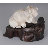 A GOOD QUALITY JAPANESE MEIJI PERIOD IVORY OKIMONO OF A BEAR, together with a fitted carved wood