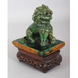 A CHINESE GREEN & OCHRE GLAZED MING DYNASTY BUDDHISTIC LION ROOF TILE, mounted on a fixed wire