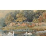 Edwin Siddall (19th-20th Century) British. A River Landscape with Swans and a Duck, Watercolour,