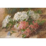 Charles Henry Slater (c.1820-1890) British. 'Pink and White Blossom', Watercolour, Signed, 7.75" x