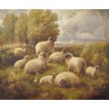 Robert Watson (1865-1916) British. Sheep in a Landscape, Oil on Canvas, Signed and Dated 1900, 10" x