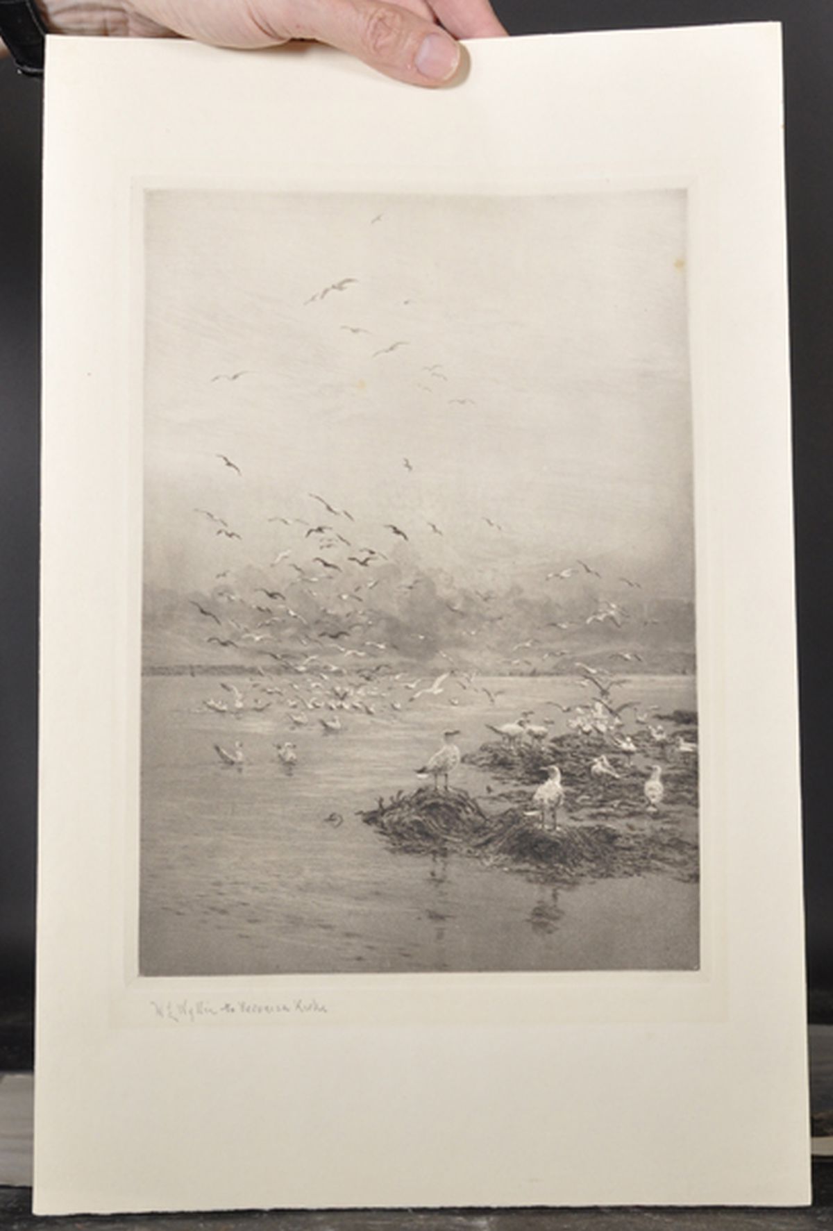 William Lionel Wyllie (1851-1931) British. "Seagulls at Low Tide", Etching, Signed and Inscribed - Image 2 of 4