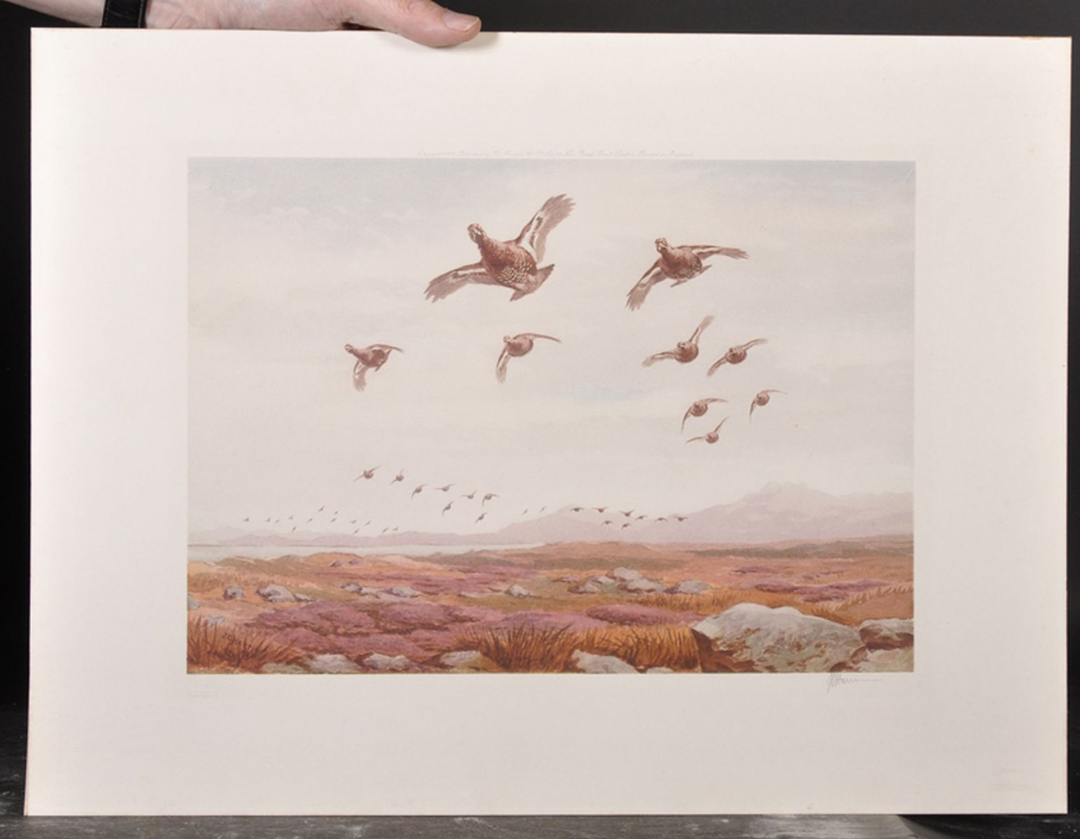 John Cyril Harrison (1898-1985) British. 'Grouse in Flight', Lithograph with Fine Art Guild Stamp, - Image 3 of 6