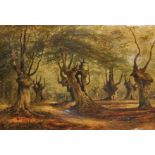 S...Michell (19th-20th Century) British. 'Burnham Beeches', A Wooded Landscape, Oil on Canvas,