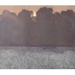 Greenwood (20th-21st Century) British "Woodlight", Coloured Etching, Signed, Inscribed, Dated '73