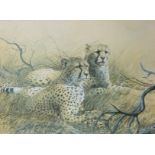 Spencer Roberts (1920-1997) British. Cheetahs Resting in a Landscape, Lithograph, Signed in Pencil