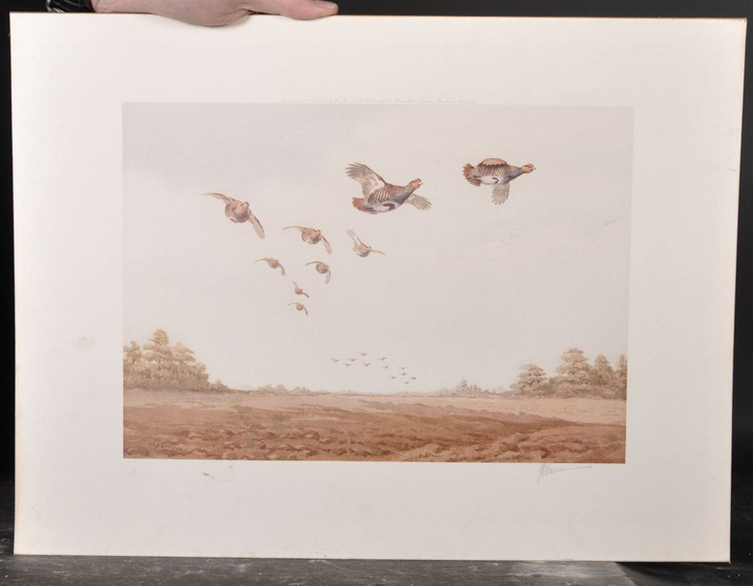 John Cyril Harrison (1898-1985) British. 'Grouse in Flight', Lithograph with Fine Art Guild Stamp, - Image 2 of 6