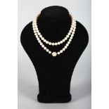 A LONG SINGLE ROW PEARL NECKLACE, 23ins long, with 9ct gold and pearl clasp. Provenance: Alexander'