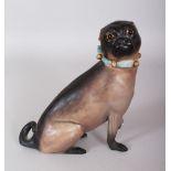 A MEISSEN SEATED PUG DOG with collar and glass eyes. Cross swords mark in blue. 6ins high.