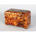 A LARGE REGENCY TORTOISESHELL TWO-DIVISION TEA CADDY on four turned legs. 6.75ins long x 4.5ins