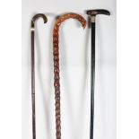 THREE VARIOUS WALKING STICKS.