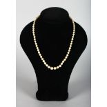 A SMALL PEARL NECKLACE with gold clasp, 16ins long.