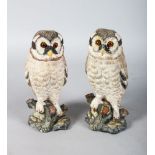 AN UNUSUAL PAIR OF TERRACOTTA PAINTED OWLS with glass eyes, on rustic bases. 8ins high.