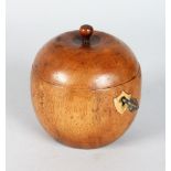 A GOOD APPLE TEA CADDY. 4.5ins.