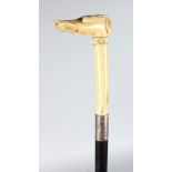 A WALKING CANE with silver band and carved ivory greyhound handle.