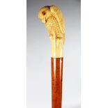 A WALKING CANE with carved OWL ivorine handle.