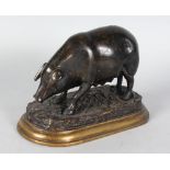 A BRONZE SOW, on a naturalistic base. 8ins long.