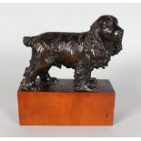 A GOOD BLACK FOREST CARVED WOOD SPANIEL, standing on a plain base. 6ins long.