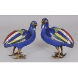 A GOOD PAIR OF 19TH CENTURY CHINESE QIANLONG/JIAQING PERIOD BLUE GROUND CLOISONNE QUAIL CENSERS,