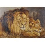 Emily Brenske (20th Century) British. A Lion and Lioness, Oil on Canvas, Signed and Dated 1913,