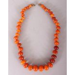 AN AMBER BEAD NECKLACE, weighing approx. 31.5gm, composed of graduated oblong spherical beads,