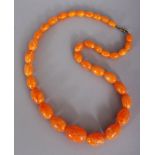 AN AMBER STYLE BUTTERSCOTCH EGG YOLK NECKLACE, weighing approx. 71.6gm, composed of graduated oval