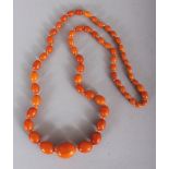 A GOOD QUALITY AMBER EGG BUTTERSCOTCH NECKLACE, weighing approx. 48gm, composed of graduated oval