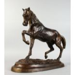 A BRONZE STALLION, on a naturalistic base. 14ins high x 15ins long.