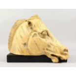 AFTER THE ANTIQUE, a painted plaster model of a horses head. 16ins long x 13ins high.