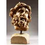 A GOOD CARVED MARBLE HEAD OF ULYSSES (ODYSSEUS), After a Roman copy, After HELLENISTIC SCULPTURE