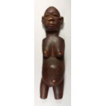 A 19TH CENTURY AFRICAN CARVED AND PAINTED FIGURE OF A PREGNANT WOMAN. 35ins high.