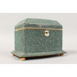 A GREY SHAGREEN BOWFRONTED TWO DIVISION TEA CADDY on bun feet. 6ins wide.