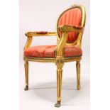 A 20TH CENTURY FRENCH CARVED AND GILDED FAUTEUIL, on turned, tapering legs with paw feet,