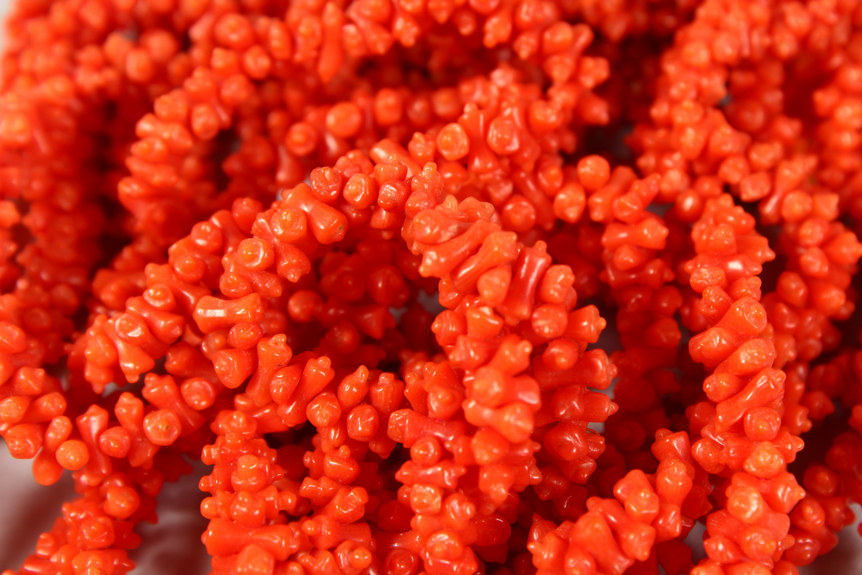 A SIX-STRAND CORAL NECKLACE. - Image 2 of 5