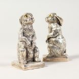 A PAIR OF CAST SILVER RABBIT SALT AND PEPPERS.