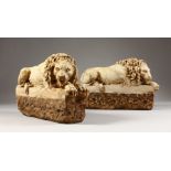 A PAIR OF CARVED STONE LIONS, on stone bases. 12ins long.