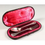 A CHRISTENING FORK AND SPOON, cased. Sheffield 1858. Maker: M.H. & Co.
