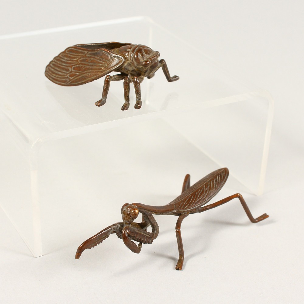 A JAPANESE BRONZE FLY AND LOCUST.