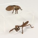 A JAPANESE BRONZE FLY AND LOCUST.