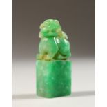 A SMALL CHINESE JADE FO DOG SEAL. 2ins.